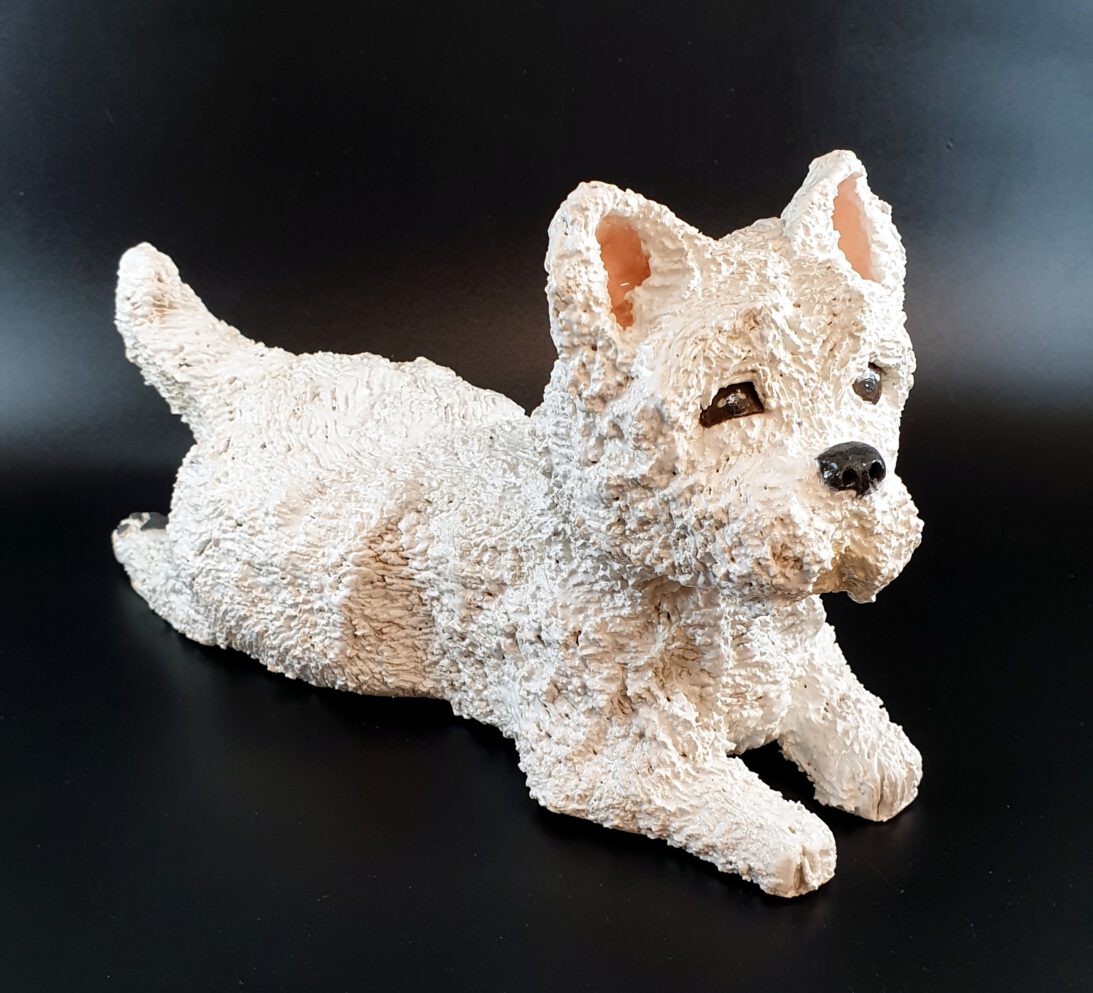 3-1) Westhighland Terrier White