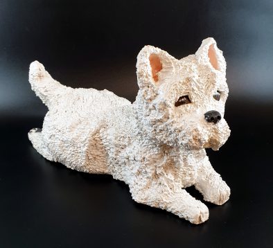 3-1) Westhighland Terrier White