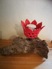 Linda Dieye Waldlicht