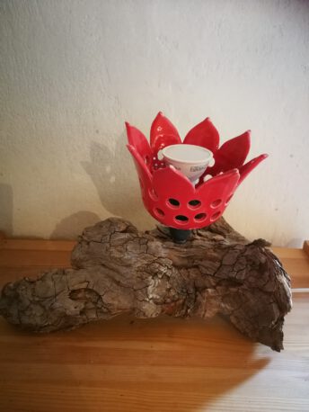 Linda Dieye Waldlicht