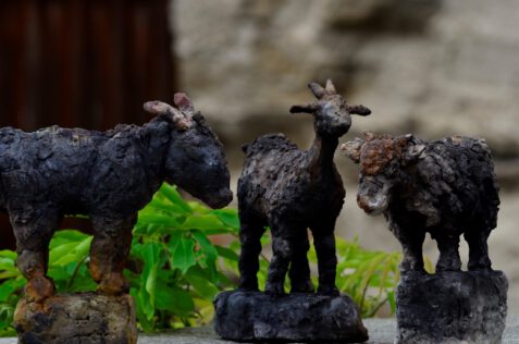 tiergruppe morinesio