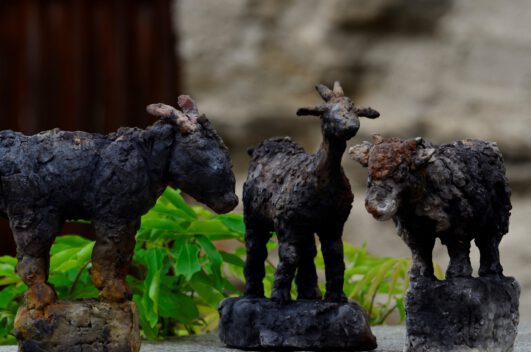 tiergruppe morinesio